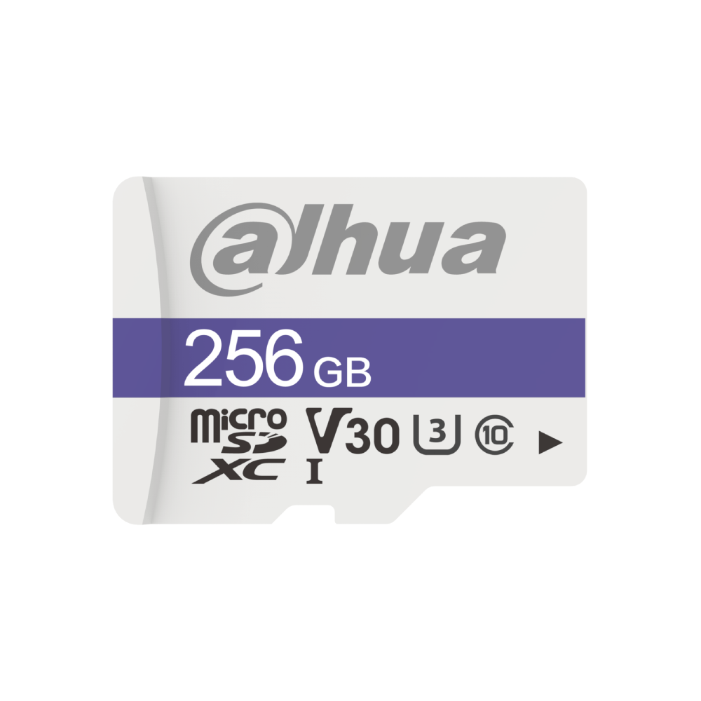 Micro SD Dahua 256gb C100